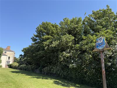Picture 16